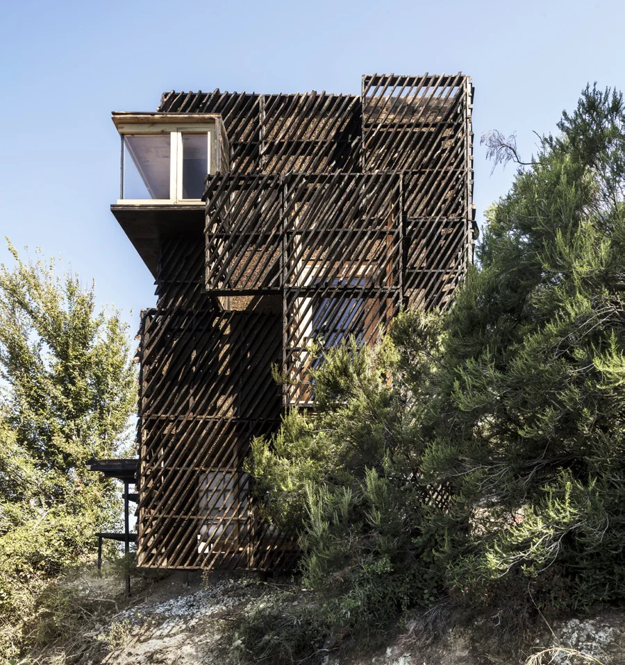 The Voxel's dark charred-timber cabin form standing among trees
